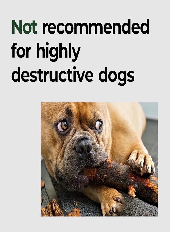 بالنس سرير كلاب أكسفورد من بالانس للكلاب الكبيرة جدًا، وسادة مقاومة للماء لأقفاص الكلاب الخارجية، سهلة التنظيف بالمسح والشطف، 42 بوصة - Image 4